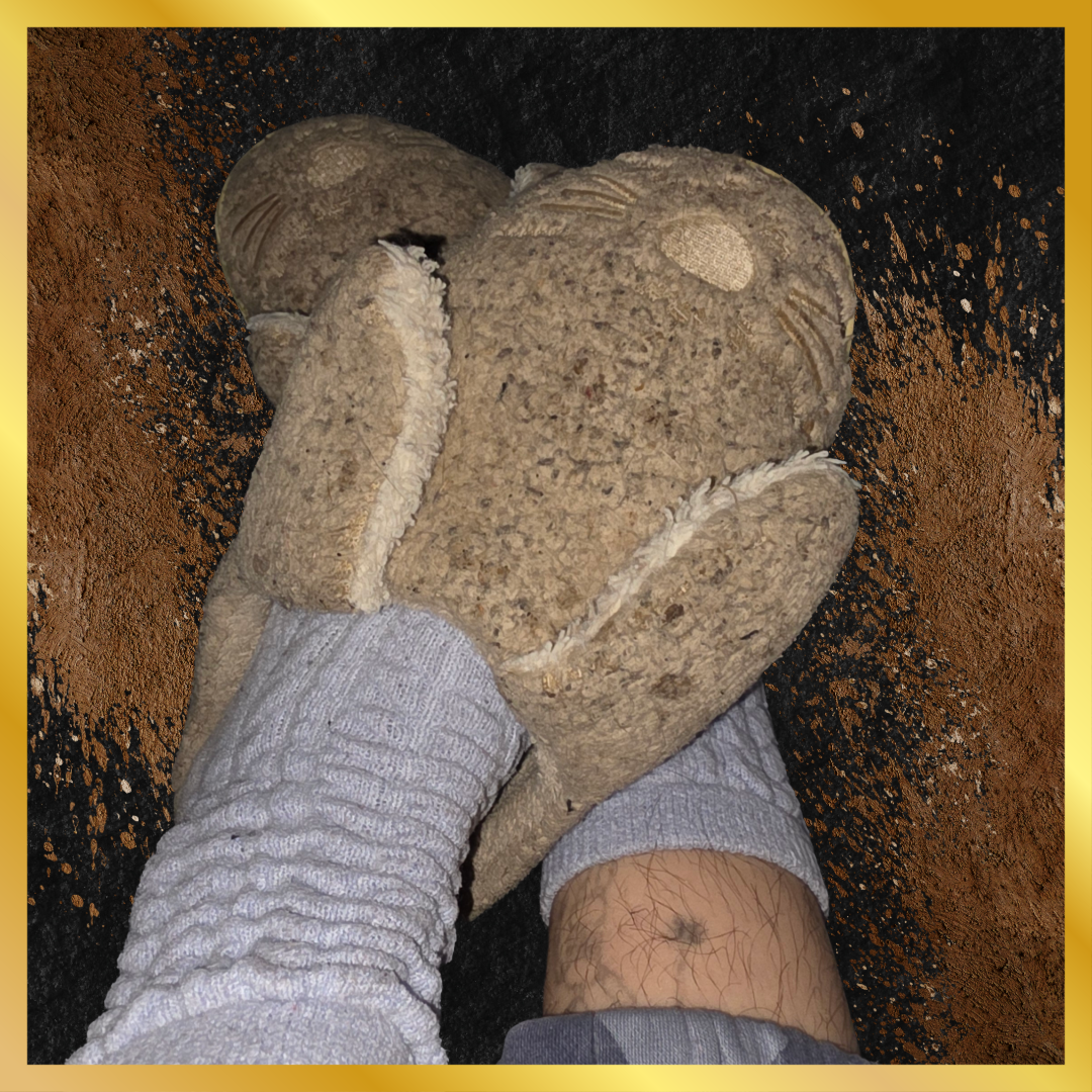 Extra Old and Dirty Bunny Slippers